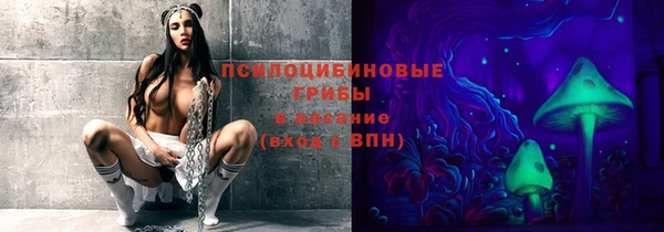 скорость Новодвинск
