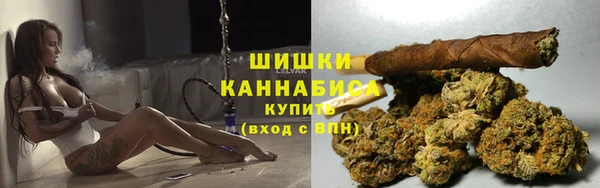 Альфа ПВП Новозыбков