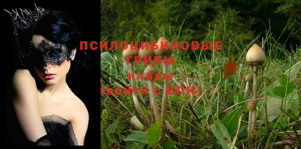 скорость Новодвинск