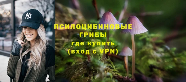 скорость Новодвинск